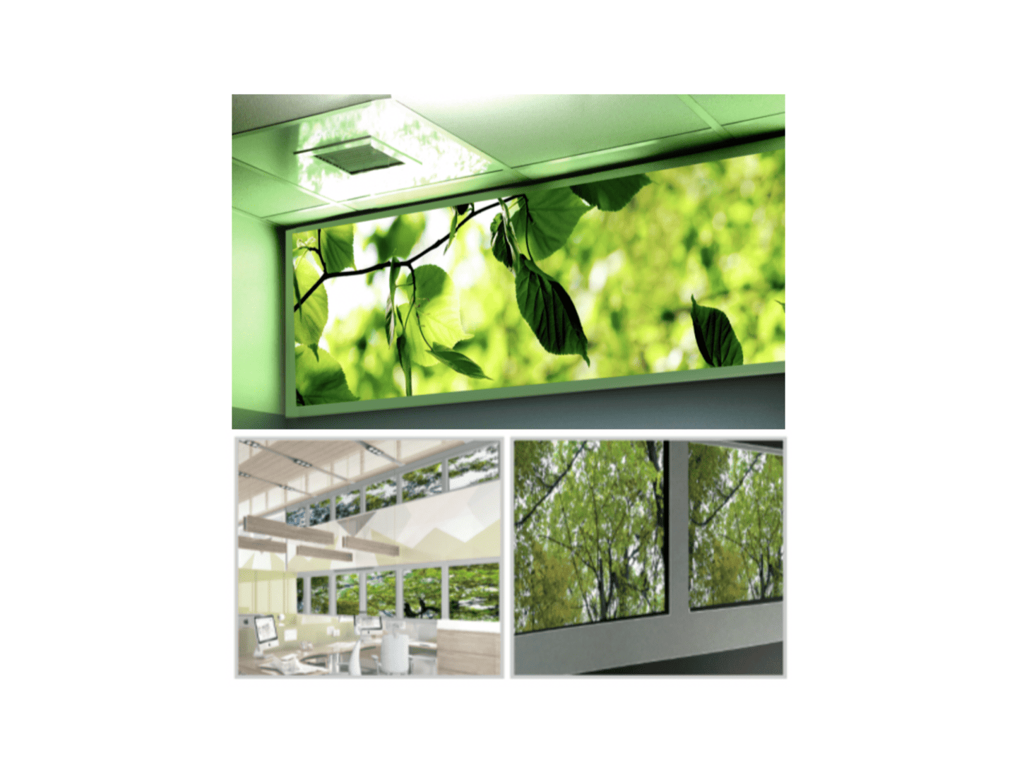 EOS Window Media Frame